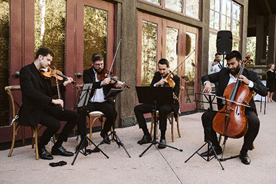 String Quartet Shape of You